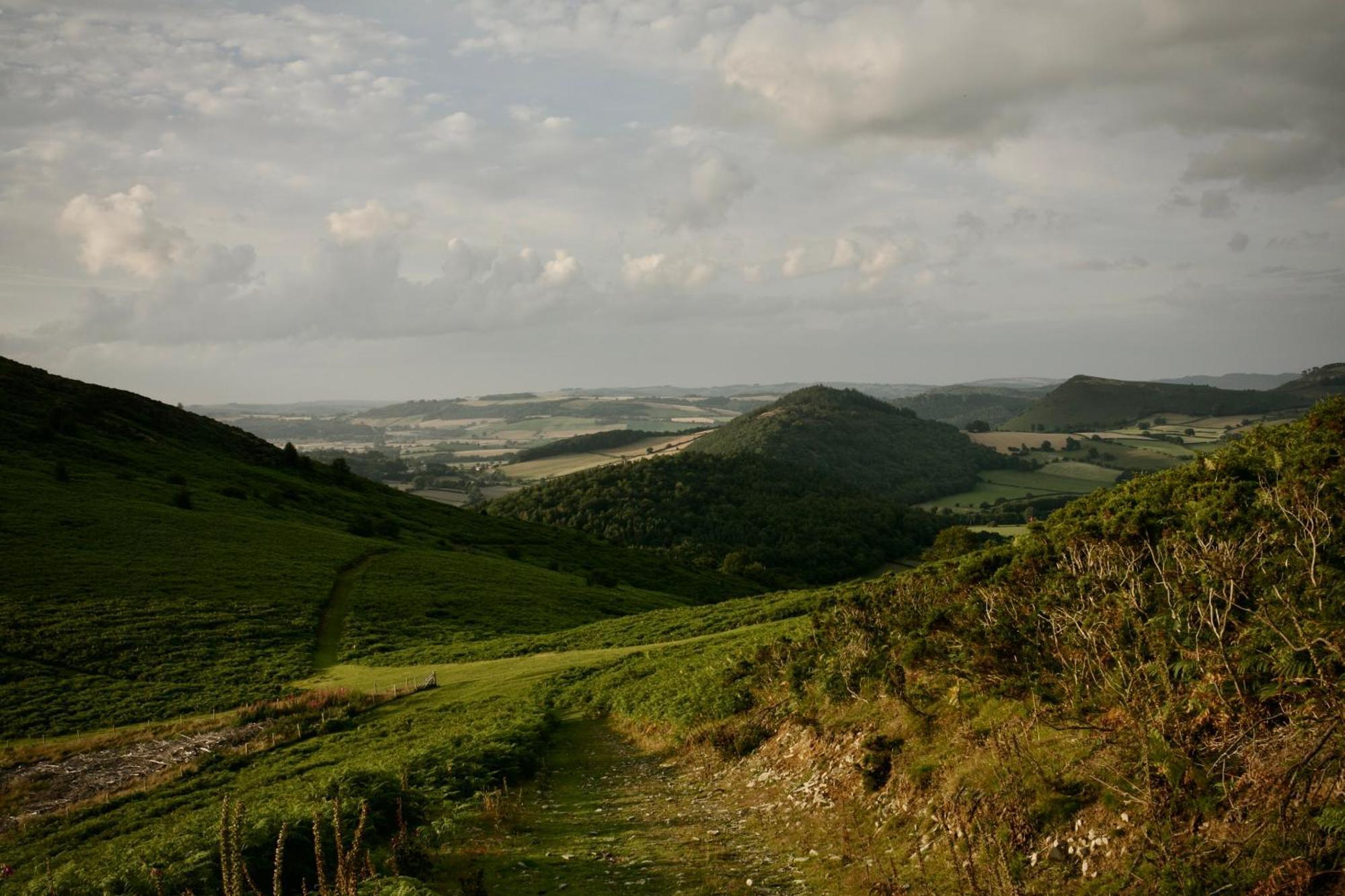 Two Unique Cabins Wrapped In Beautiful Welsh Scenery Presteigne Exterior foto